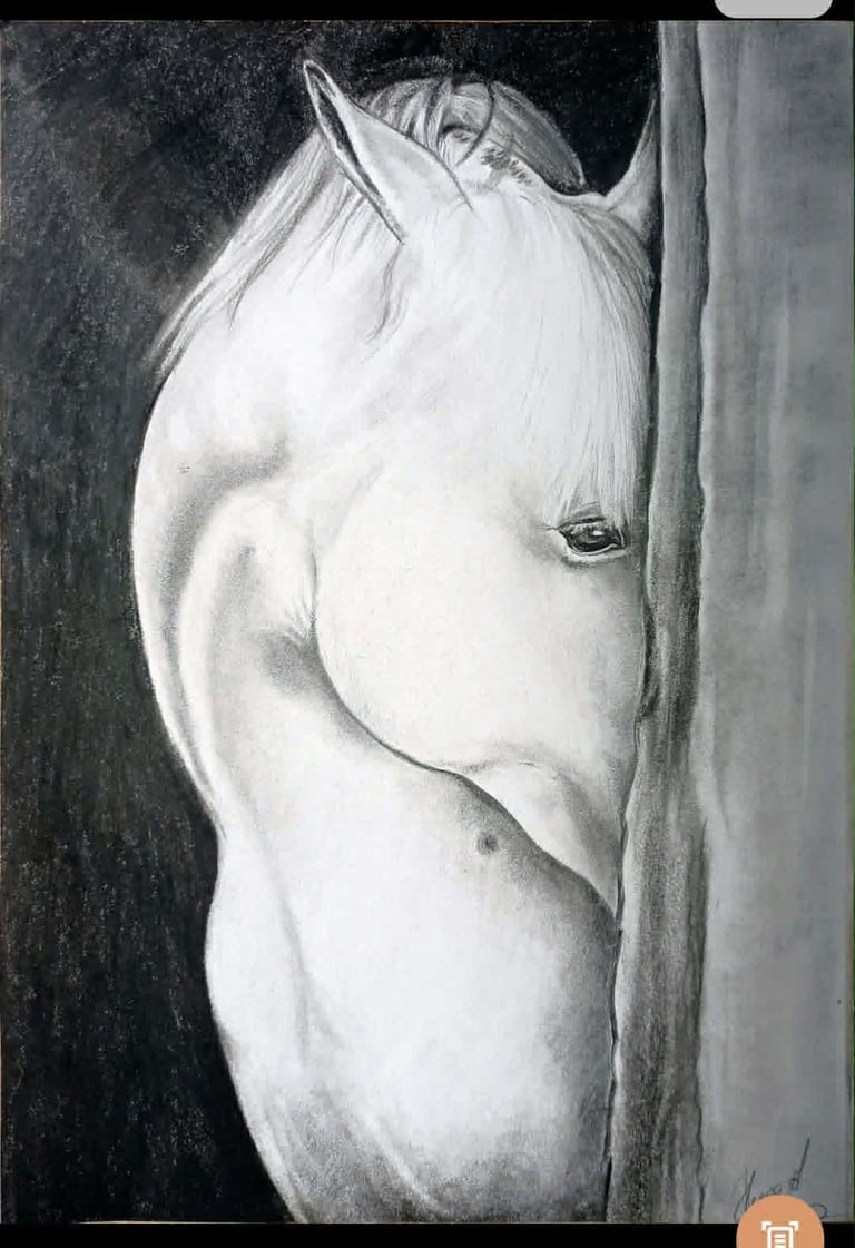 Grayscale drawing of a white horses head in profile against a dark background, with detailed shading