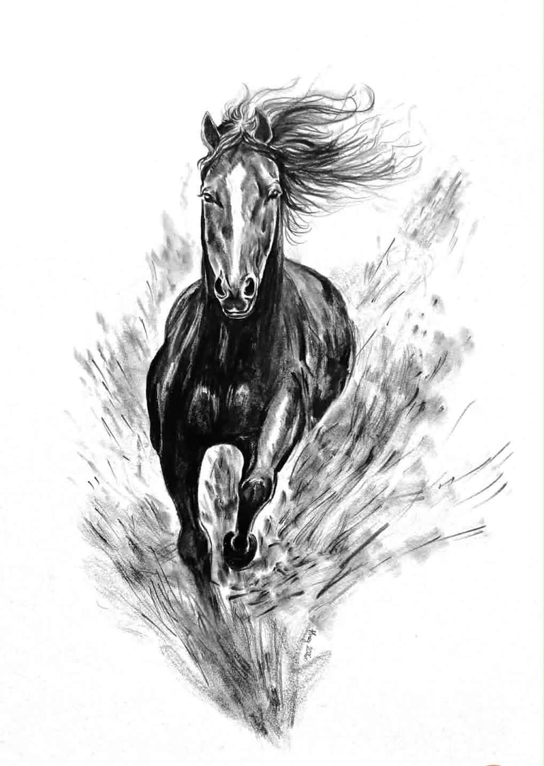 Pencil sketch of a galloping black horse with flowing mane, drawn with dynamic motion lines on white background