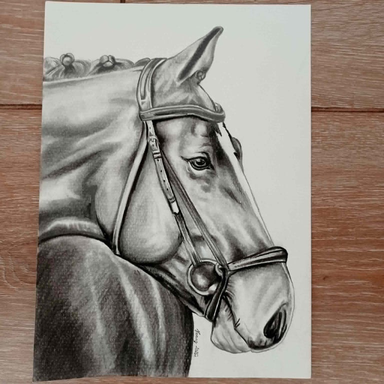 Detailed pencil drawing of a horse wearing a bridle and saddle, shown in profile against a wooden background